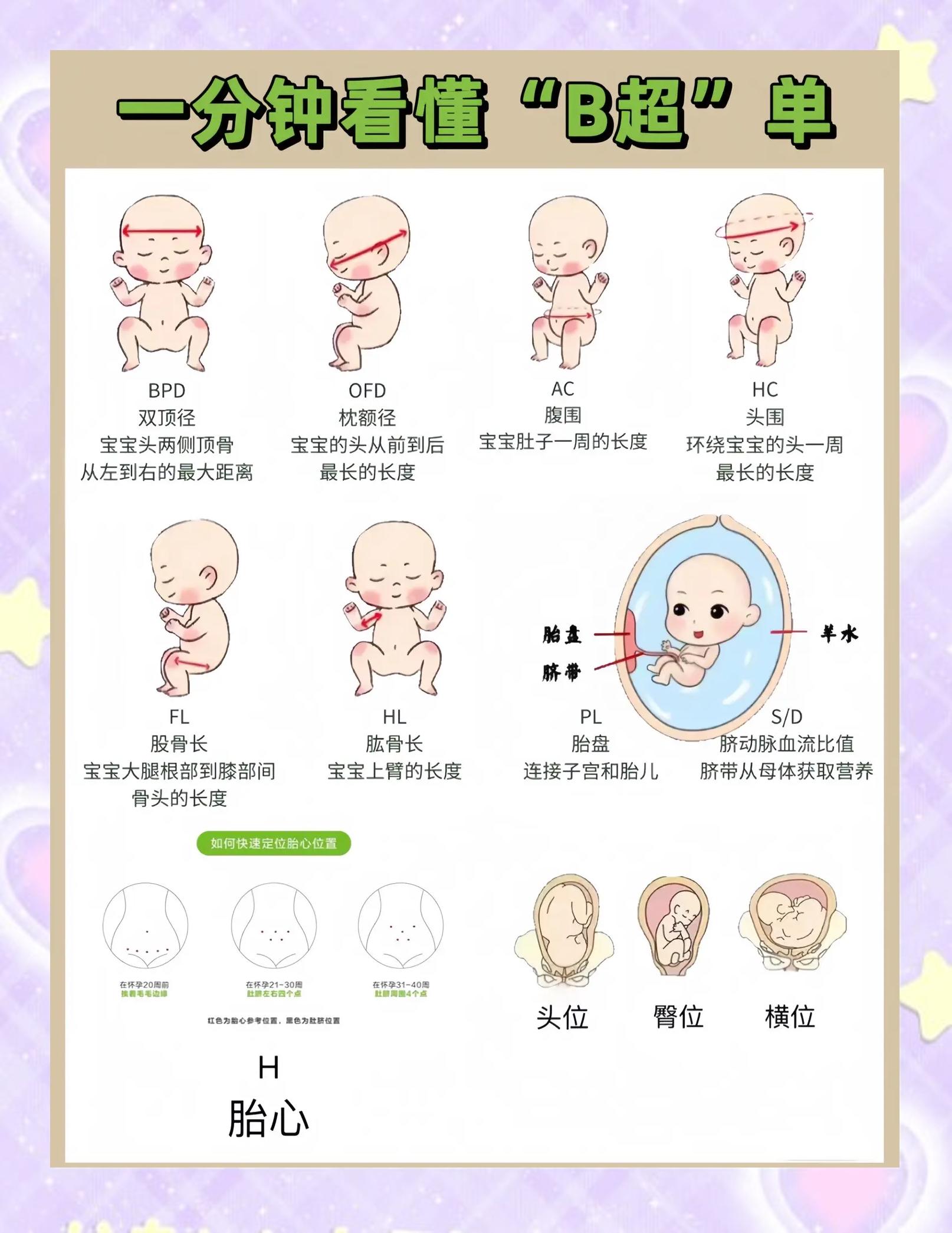 单周双周的区别 单周和双周怎么区分 