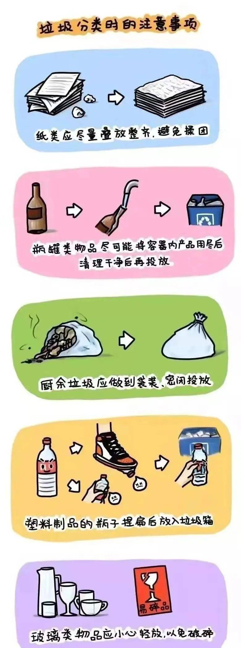 分类与种类的区别 分类与种类的区别和联系 